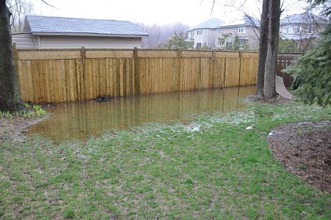 Flooded Back Yard