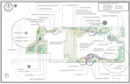 Design Plan 1