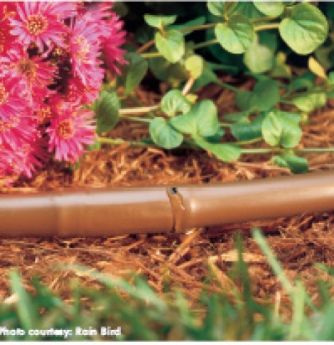 Drip Irrigation